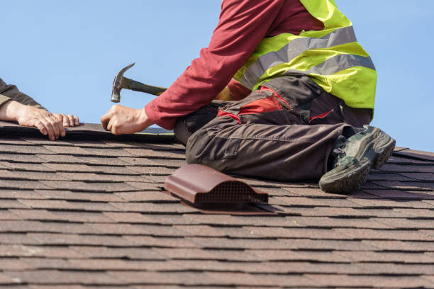 Best Roof Maintenance Services  in Harriman, TN