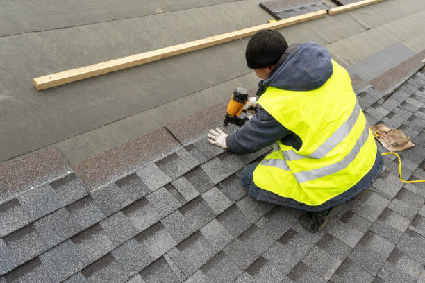 Best Roof Gutter Cleaning  in Harriman, TN