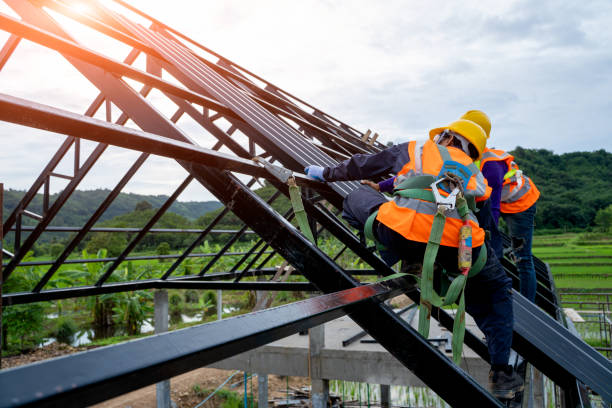 Best Storm Damage Roof Repair  in Harriman, TN
