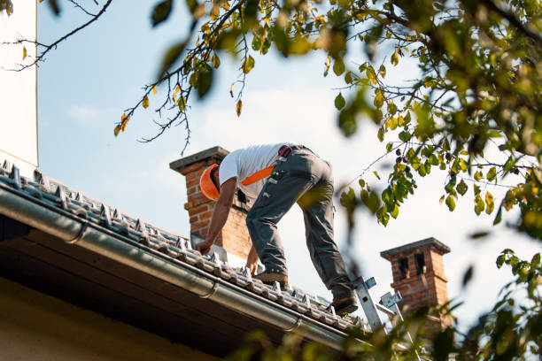 Best Flat Roof Repair Services  in Harriman, TN