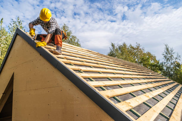Best Metal Roofing Contractor  in Harriman, TN