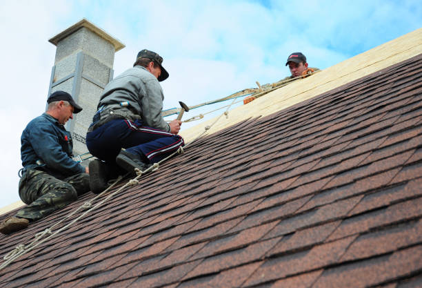 Best Residential Roofing Contractor  in Harriman, TN
